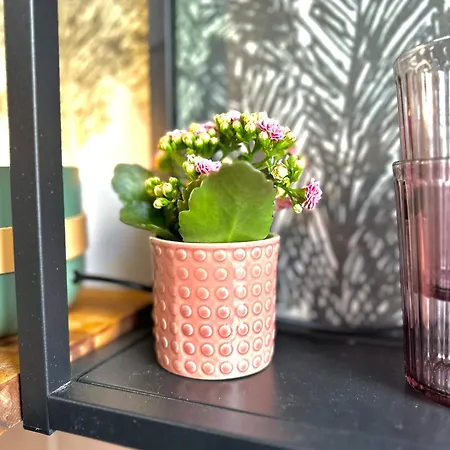 Le 101 Dans Village Parking Facile Montville