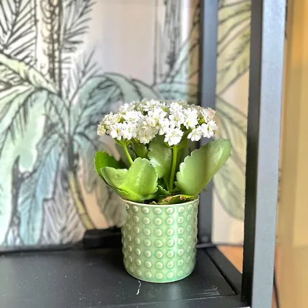 公寓 Le 101 Dans Village Parking Facile